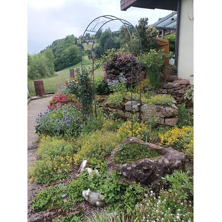 Ferienwohnung Wiesenblick Oberharmersbach Dış mekan fotoğraf